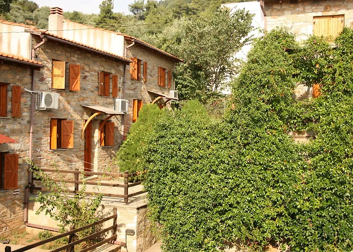 Alexis Chrysi Ammoudia